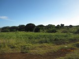 Treasure Beach, St. Elizabeth, Jamaica - Residential lot for Sale